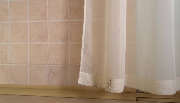 Best Attic Mold Removal  in Moorestown Lenola, NJ