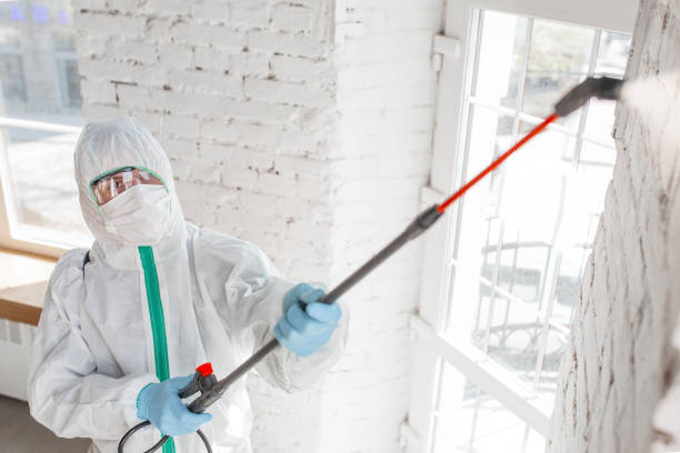 Professional Mold Removal in Moorestown Lenola, NJ