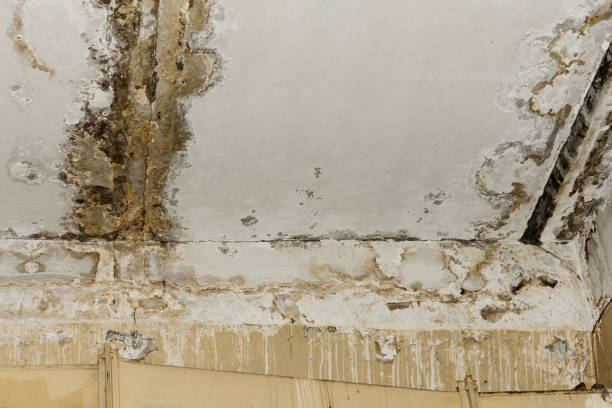 Best Post-Remediation Verification Testing  in Moorestown Lenola, NJ