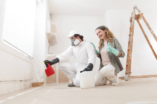 Environmental Consulting for Mold Prevention in Moorestown Lenola, NJ