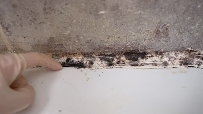 Best Mold Prevention Services  in Moorestown Lenola, NJ